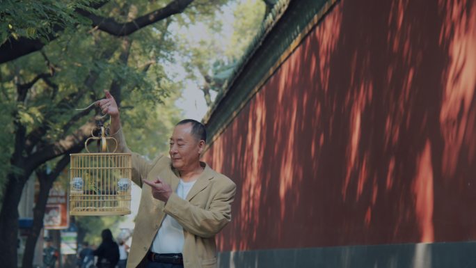 在北京街道上遛鸟的老年人