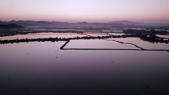 航拍夕阳下的浙江诸暨山下湖珍珠养殖场蚌场