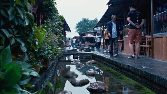 泾阳茯茶小镇商业旅游旅行茶文化乡村振兴