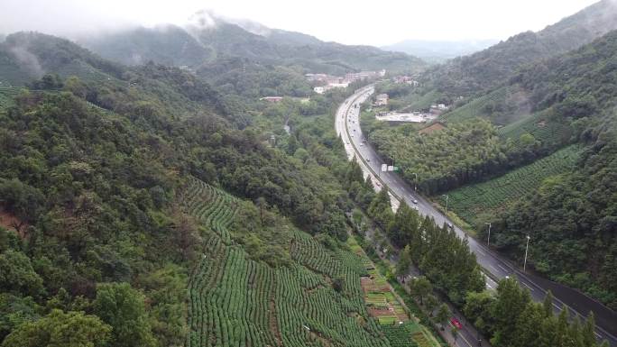 杭州东穆坞晨雾公路高速公路茶山茶村茶田