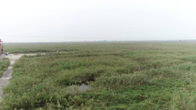 辽河湿地自然保护区3（4K50帧）