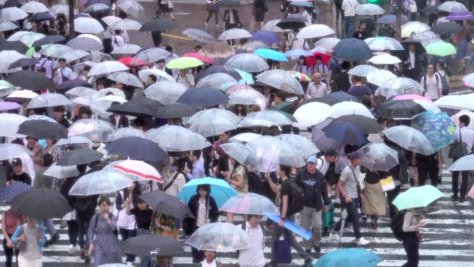 雨天人行道行人撑伞过路