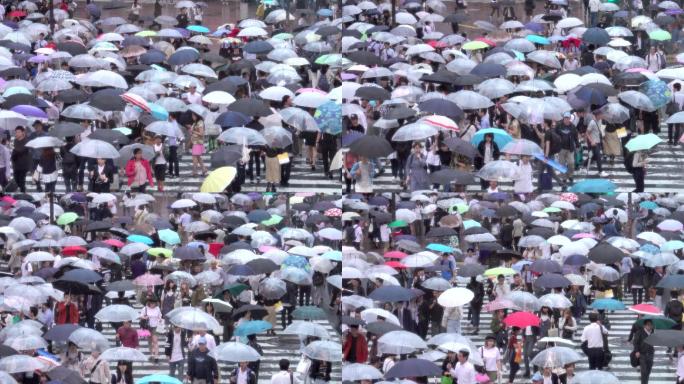 雨天人行道行人撑伞过路