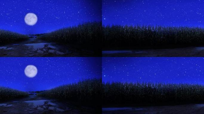 玉米 月亮 夜晚 氛围 星空