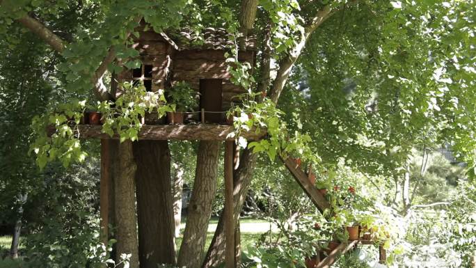 童话里般的丛林里树上小木屋