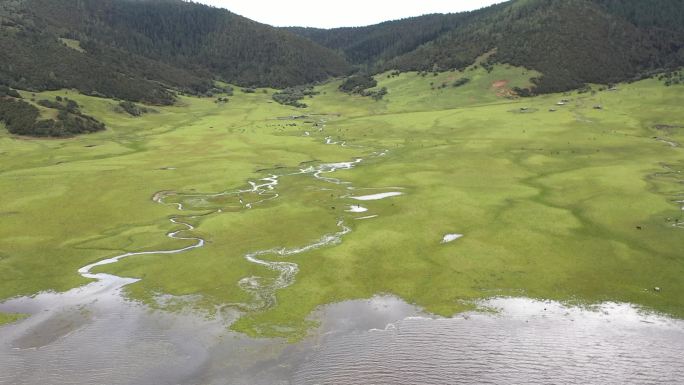 香格里拉峡谷草原唯美航拍