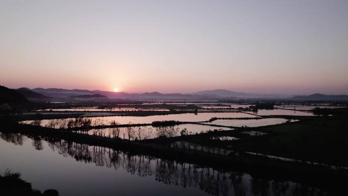 航拍夕阳下的浙江诸暨山下湖珍珠养殖场蚌场