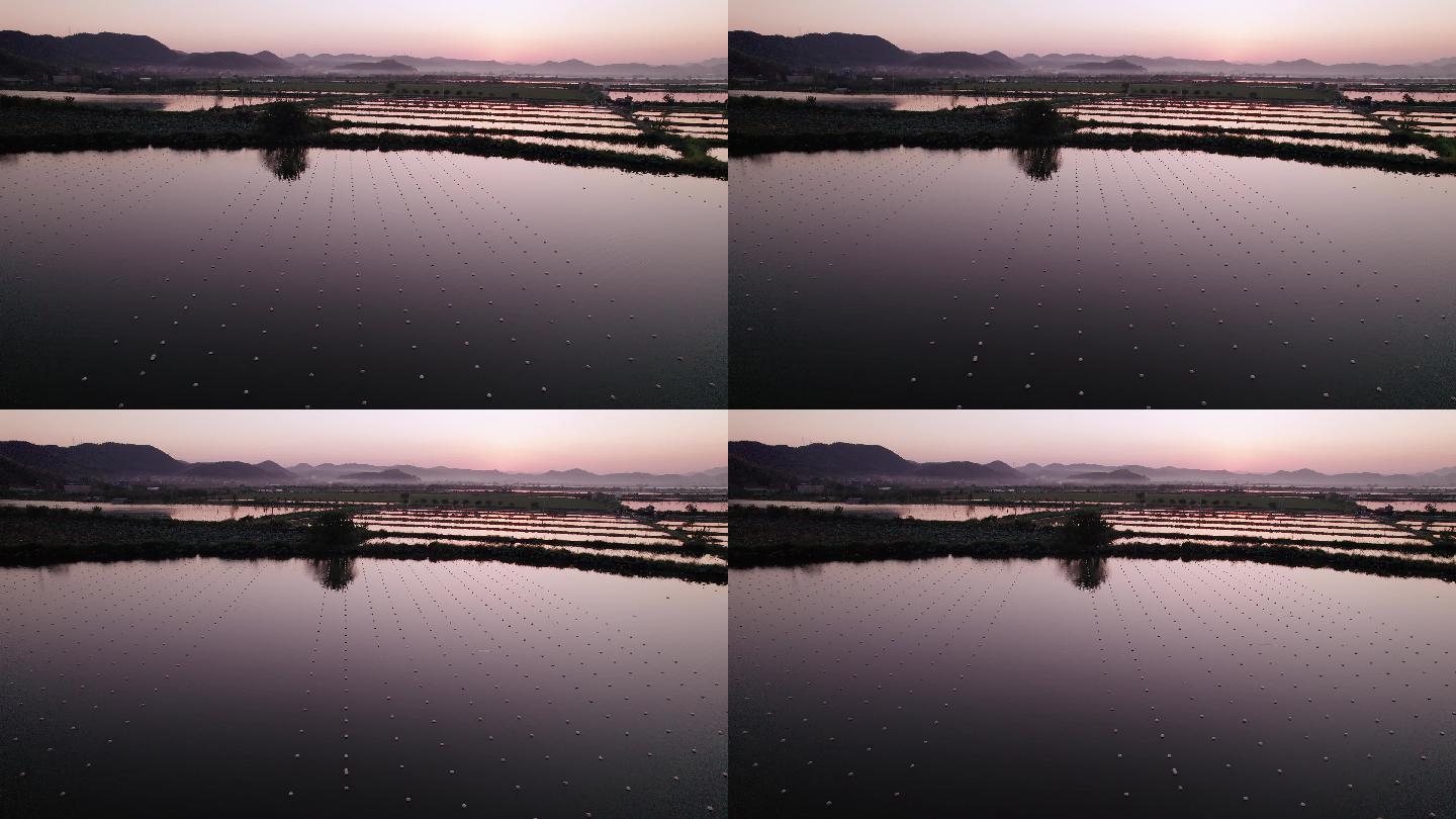 航拍夕阳下的诸暨山下湖珍珠养殖场蚌场