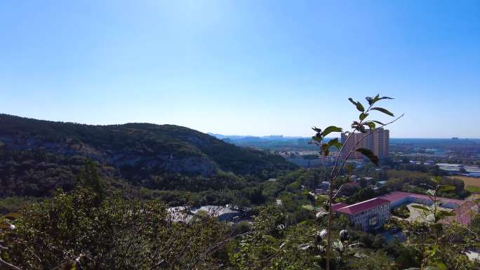 实拍济南腊山公园