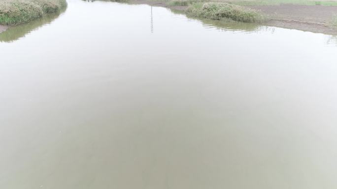 辽河湿地自然保护区2（4K50帧）