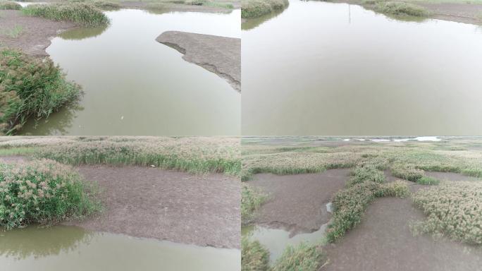辽河湿地自然保护区2（4K50帧）