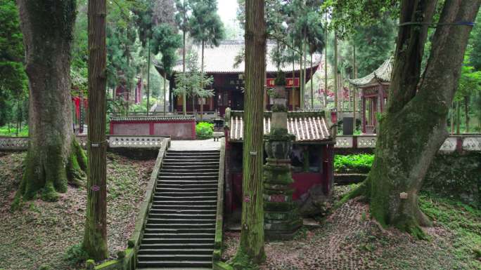 荥经县云峰山旅游景区云峰寺古桢楠树林