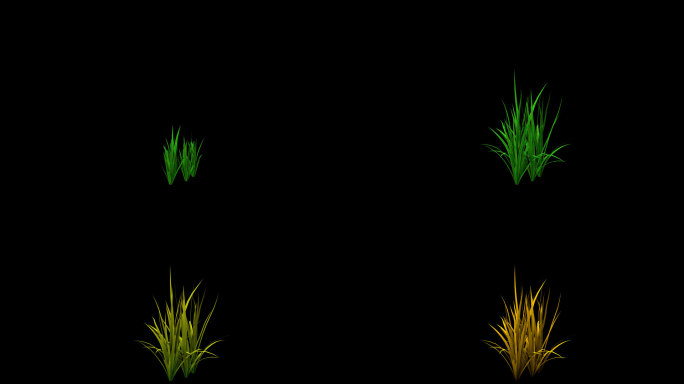 三维渲染草的四季变化-带透明通道