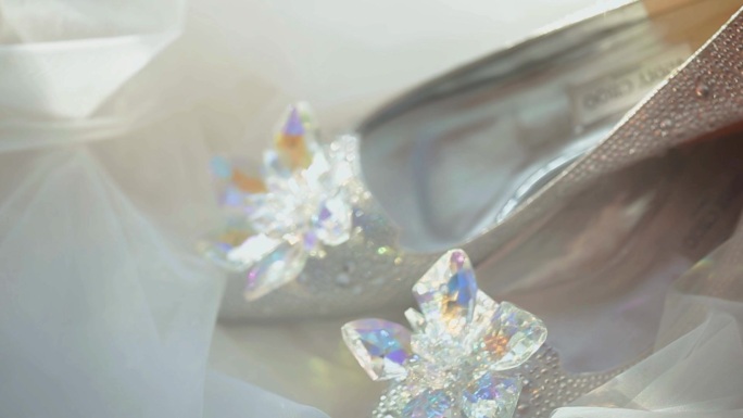 公主的水晶鞋