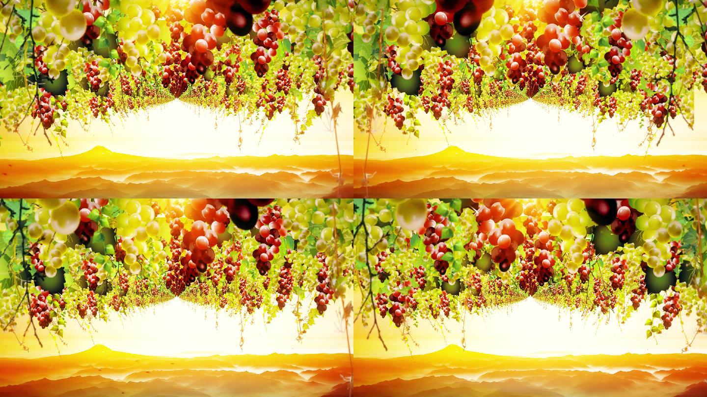 4k新疆葡萄架新疆舞维吾尔族歌舞背景