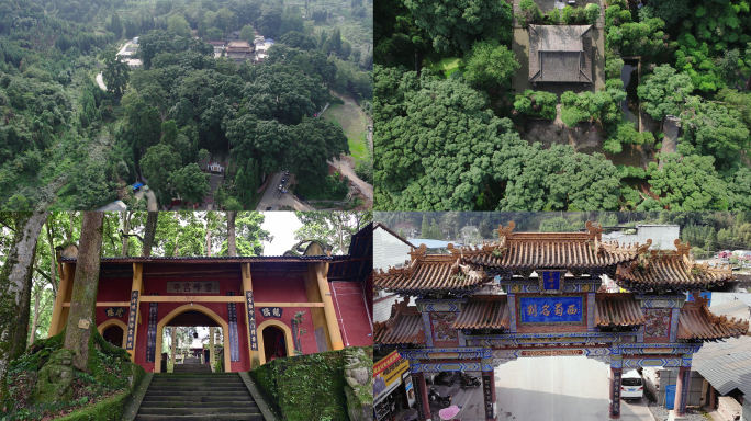 四川省荥经县云峰山旅游景点云峰寺桢楠树