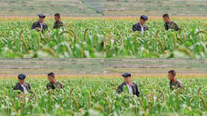 农业专家 农业指导专家 小米 农业发展