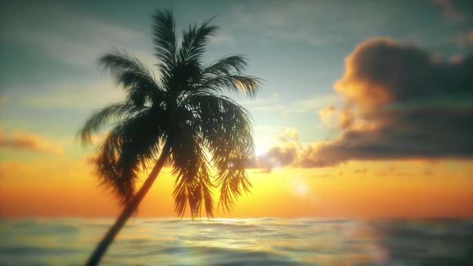 很有意境的夕阳沙滩椰子