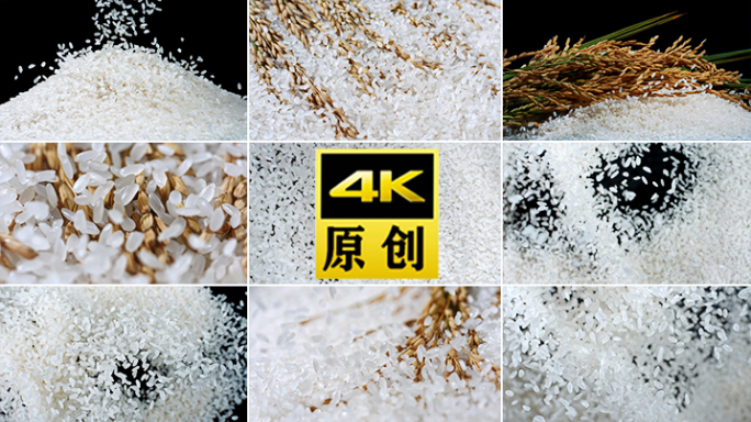 米大米农业水稻稻田米饭粮食稻谷米粒米广告