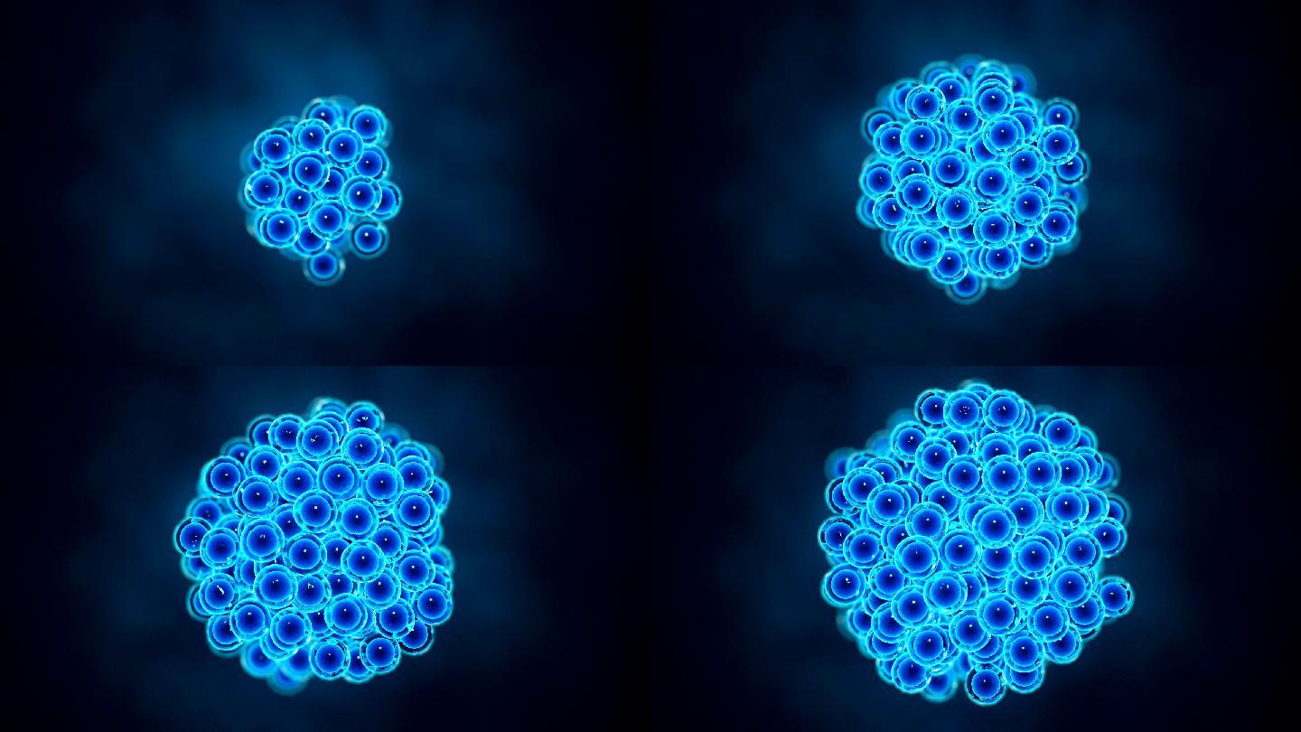 蓝色细胞的繁殖
