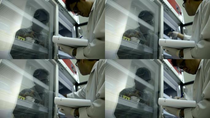 女医学技术员在实验室冰箱对血袋进行质量控制