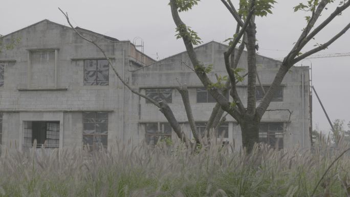 被树木遮挡的废弃工厂松下vlog