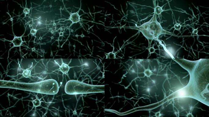 人脑内的神经元网络