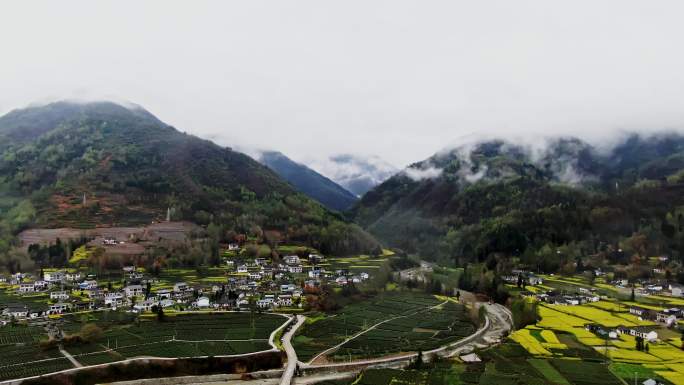 金色稻田航拍云层山峰