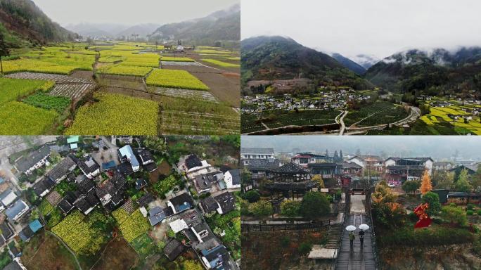 金色稻田航拍云层山峰