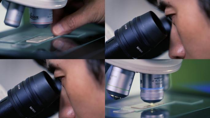 科研人员看显微镜