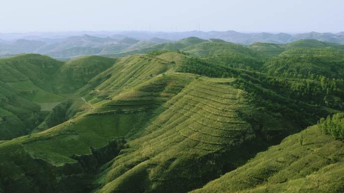 陕北 梯田 黄土高原 地貌 沟壑 沙化