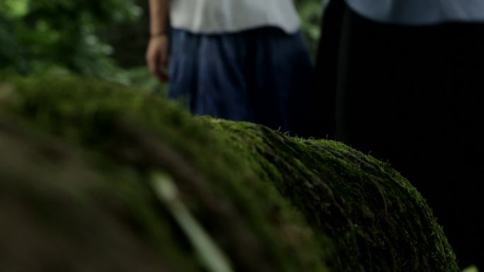 民国青年女学生走路看书空镜头