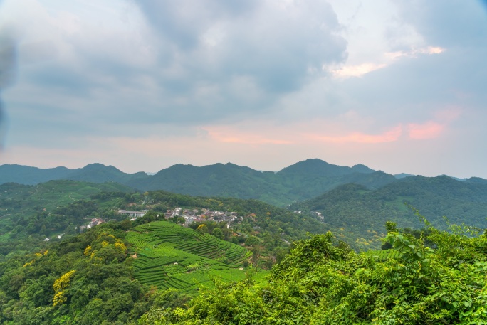 龙井村