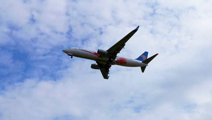 天府空港 空港花田 各种飞机 飞行姿态