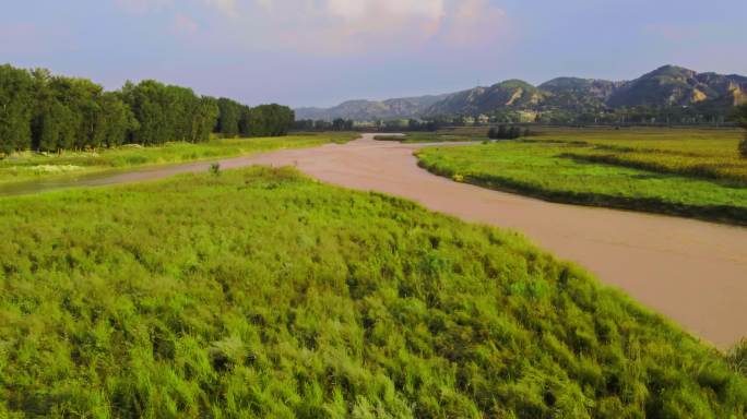 陕北黄河滩地种植农业丰收黄河航拍