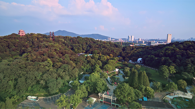 南京红山森林动物园5K