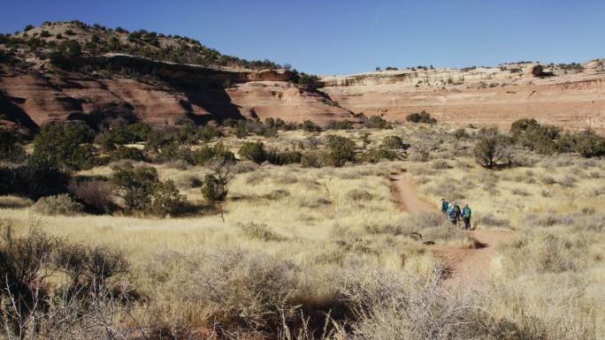 徒步旅行的一群人荒原地区草原灌木地质地理