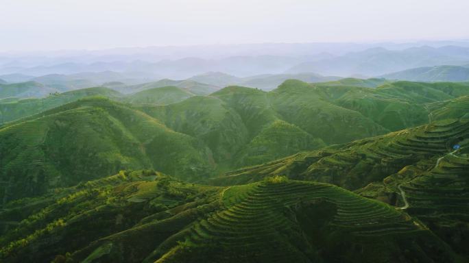 陕北 梯田 黄土高原 地貌 沟壑 沙化