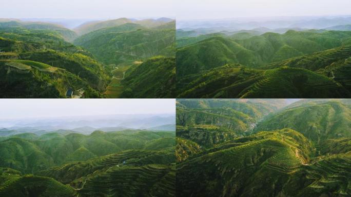 陕北 梯田 黄土高原 地貌 沟壑 沙化