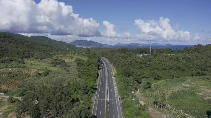 海南岛高速公路热带雨林航拍椰子树林植被