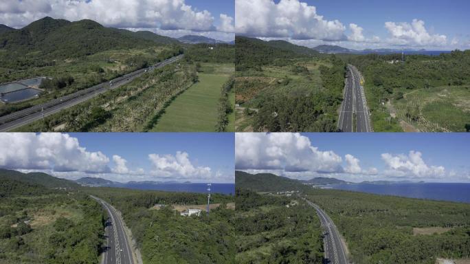 海南岛高速公路热带雨林航拍椰子树林植被