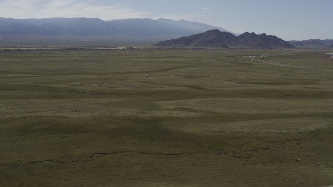 新疆哈密巴里坤草原