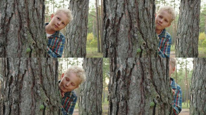 那个顽皮的男孩躲在森林里的树后。