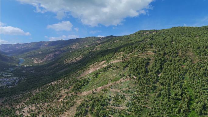 山  城市    片尾   天水