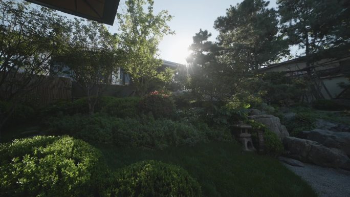 样板房室外园林阳光穿透树叶实拍