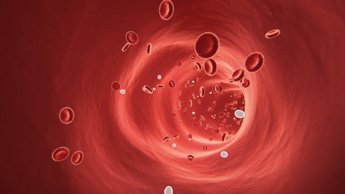 健康血液血细胞