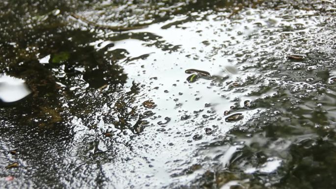 实拍旅拍古寺苔癣细雨屋檐滴水拍打岩石朝圣