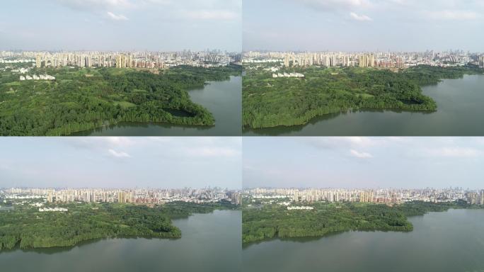 蓝天白云下湖边绿地边城市航拍全景空镜