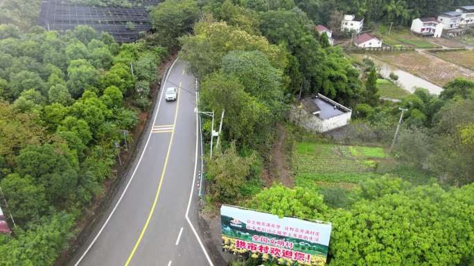 4k航拍全国文明村 三七种植基地乡村振兴