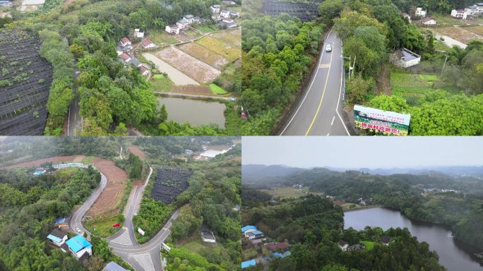 4k航拍全国文明村 三七种植基地乡村振兴